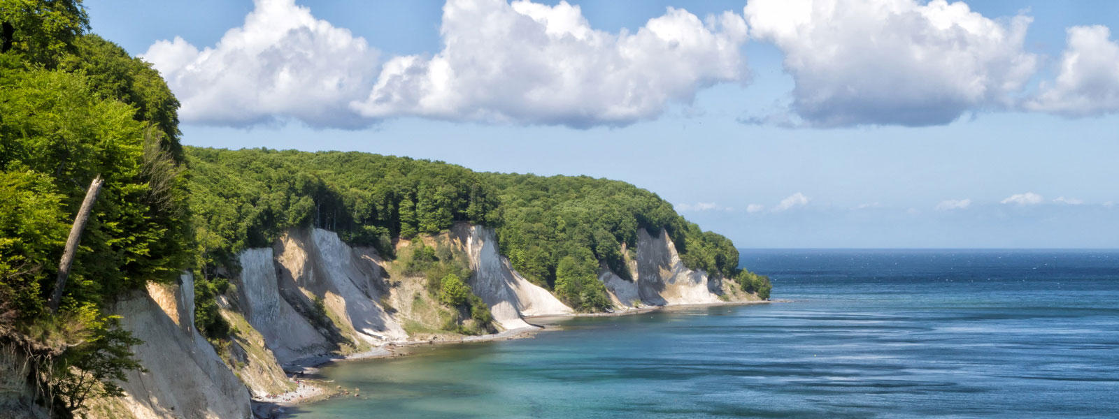 Kreidefelsen Sassnitz Naturpark Insel Rügen Ferienwohnung Villa Monika